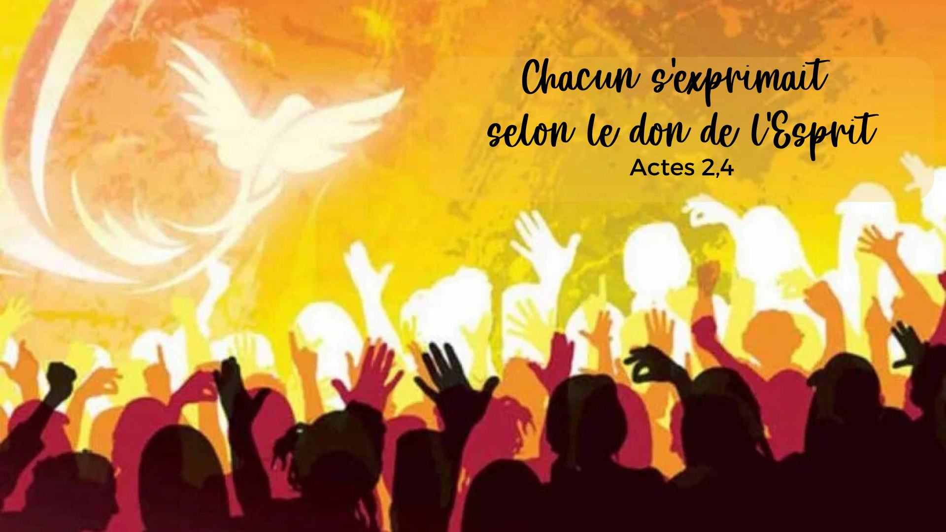 Mots de l'équipe Mots de l'équipe