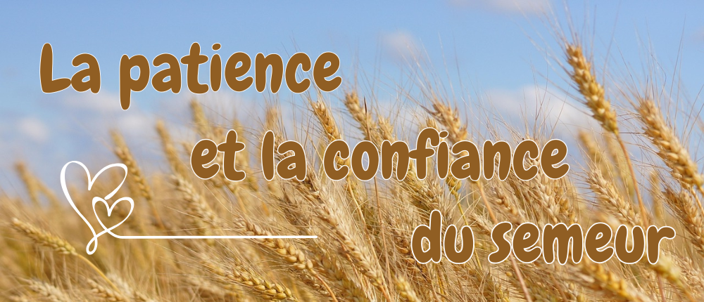 Image-12Juillet (1)